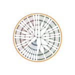 Albion Online character fighting PvE enemies, representing Fame Farming for gaining experience and progression through PvE activities.