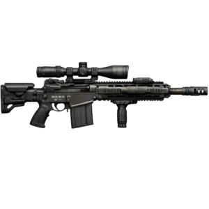 M39 EMR Max Level From BF6