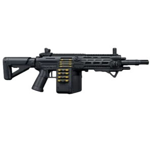 PSR Max Level