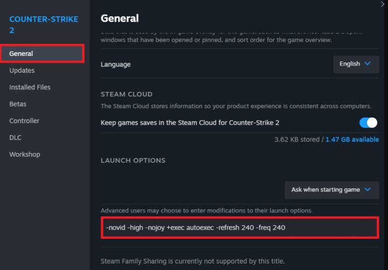 Best launch options for CS2 in 2025