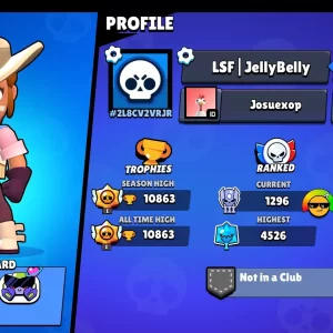 Brawl Stars account details
