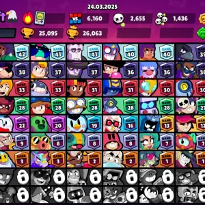 Brawl Stars account details