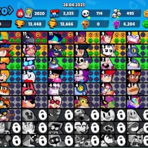 Brawl Stars account details