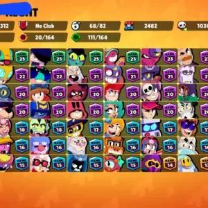 Brawl Stars account details