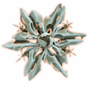 the Desert Perpetual Raid