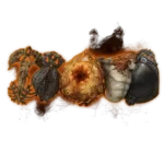 Elden Ring talismans providing unique powers and character enhancements.