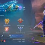 149 SKIN-84 HERO-Profile