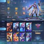 196 SKINS,ZODIAC + 5