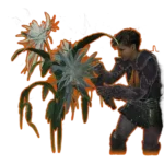 Monster Hunter Wilds character