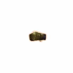 PoE 2 Birthright Buckle