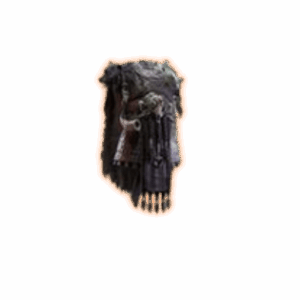 PoE 2 Blackbraid