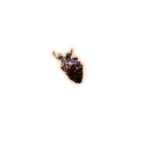 PoE 2 Carnage Heart