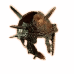 PoE 2 Crown of the Pale King