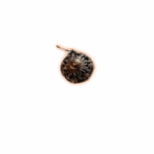 PoE 2 Fireflower
