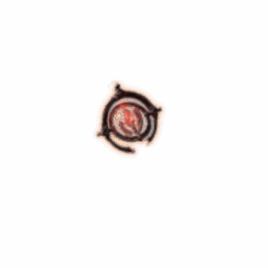 PoE 2 Igniferis