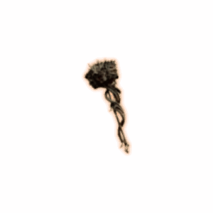 PoE 2 Quecholli