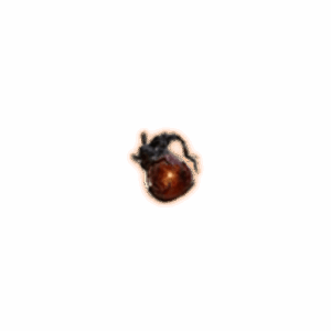 PoE 2 Revered Resin