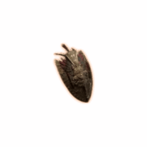 PoE 2 Rise of the Phoenix