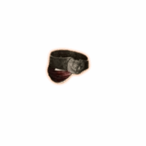PoE 2 Sandstorm Visage