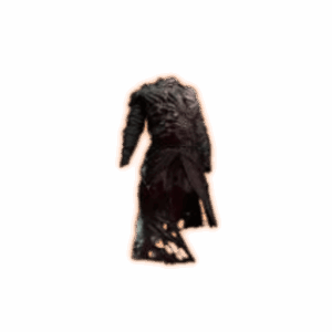 PoE 2 Skin of the Loyal