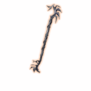 PoE 2 Taryn's Shiver