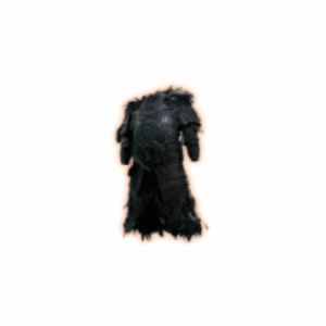 PoE 2 The Barrow Dweller