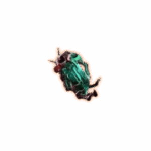 PoE 2 The Pandemonius