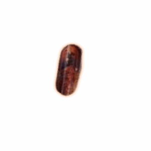 PoE 2 Wulfsbane