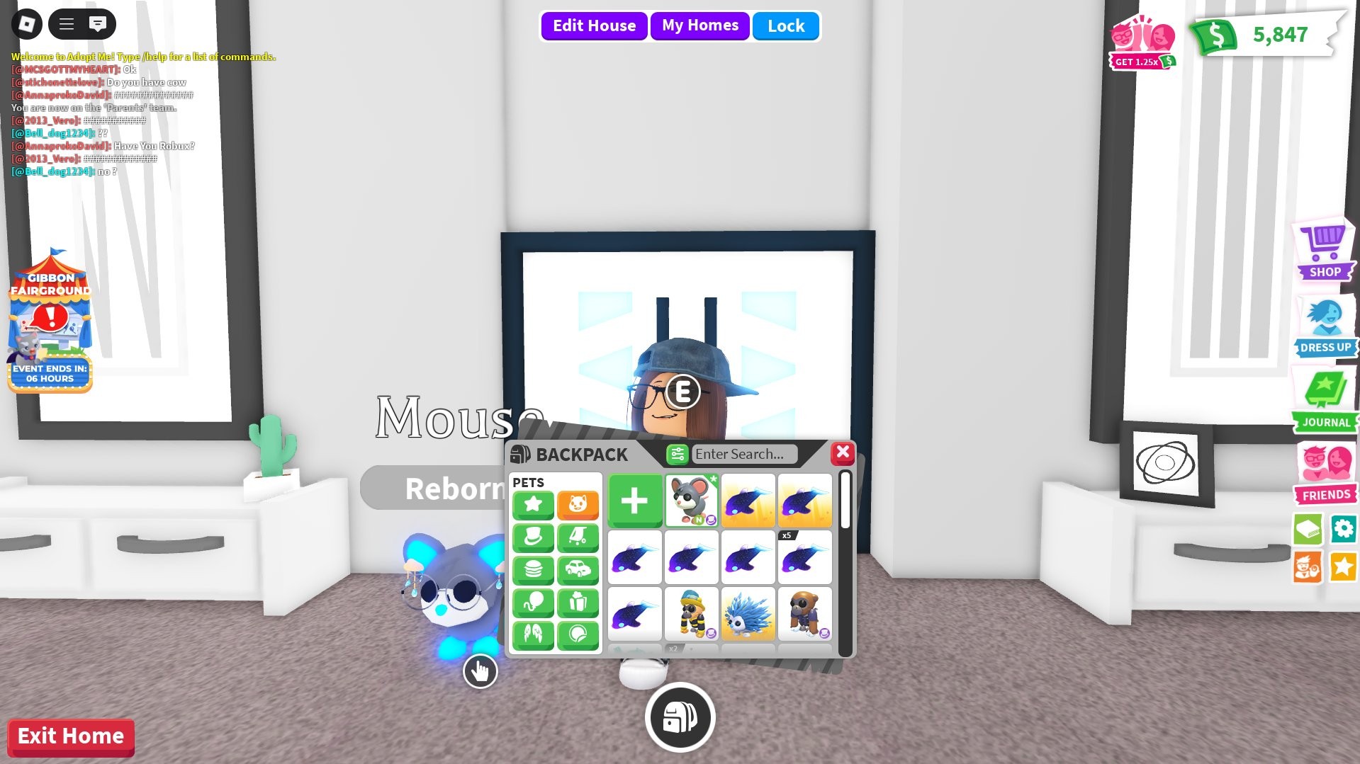 Roblox account