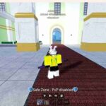 Roblox account