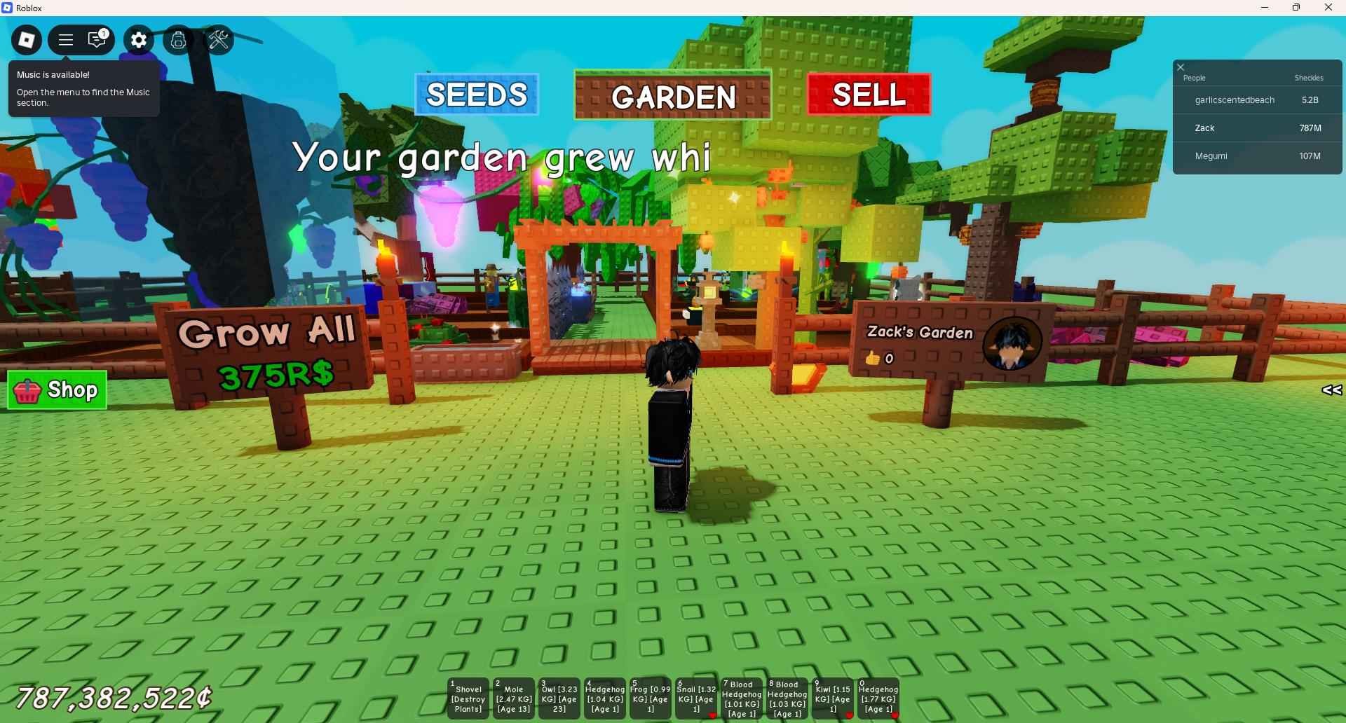 Roblox account