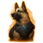 TFD companion fellow